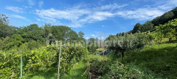 2700m² Land in Albino, Italy No. 85819 9