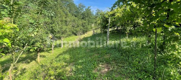 2700m² Land in Albino, Italy No. 85819 3