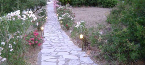 Land for sale in Zakynthos, Ionian Islands, Peloponnese, Western Greece and the Ionian, Greece № 816 11