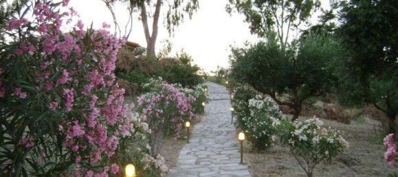  Hotel in Zakynthos, Greece No. 816 19