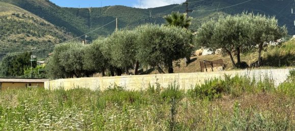 7500m² Commercial property in Toirano, Italy No. 330008 9