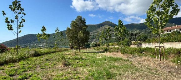 7500m² Commercial property in Toirano, Italy No. 330008 7