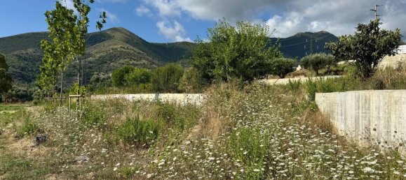 7500m² Commercial property in Toirano, Italy No. 330008 11