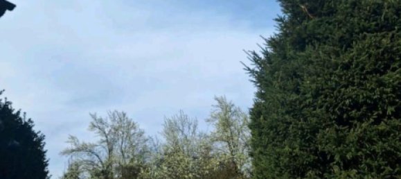 6 bedrooms Townhouse in Kassel, Germany No. 258566 4