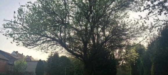 6 bedrooms Townhouse in Kassel, Germany No. 258566 8