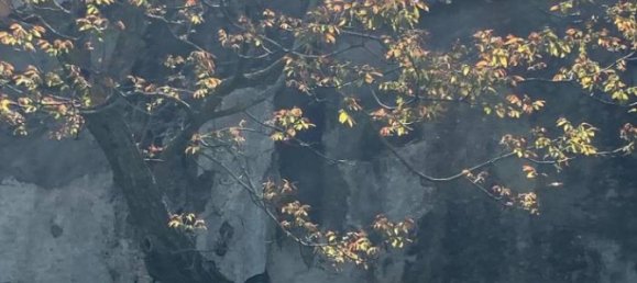 Casa T2 em Maratea, Italy N.º 294622 6