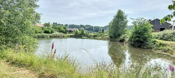 4 غرف نوم منزل في Raon-aux-Bois, France رقم 154621 5