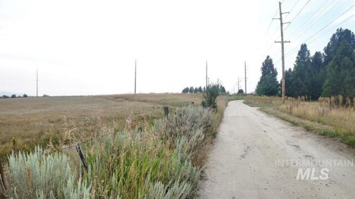  Land in McCall, USA No. 512355