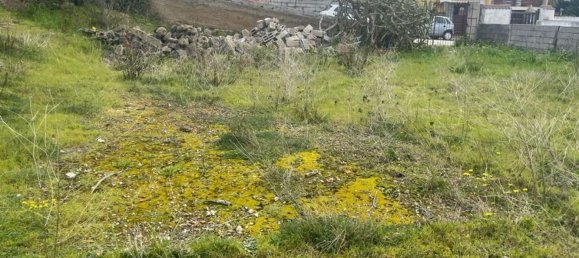 قطعة أرض في Porto Torres, Italy 1080متر مربع رقم 118124 11