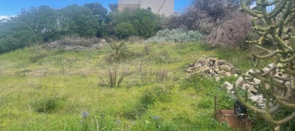 قطعة أرض في Porto Torres, Italy 1080متر مربع رقم 118124 10