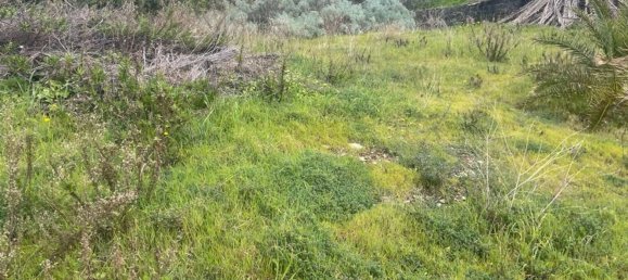 قطعة أرض في Porto Torres, Italy 1080متر مربع رقم 118124 12