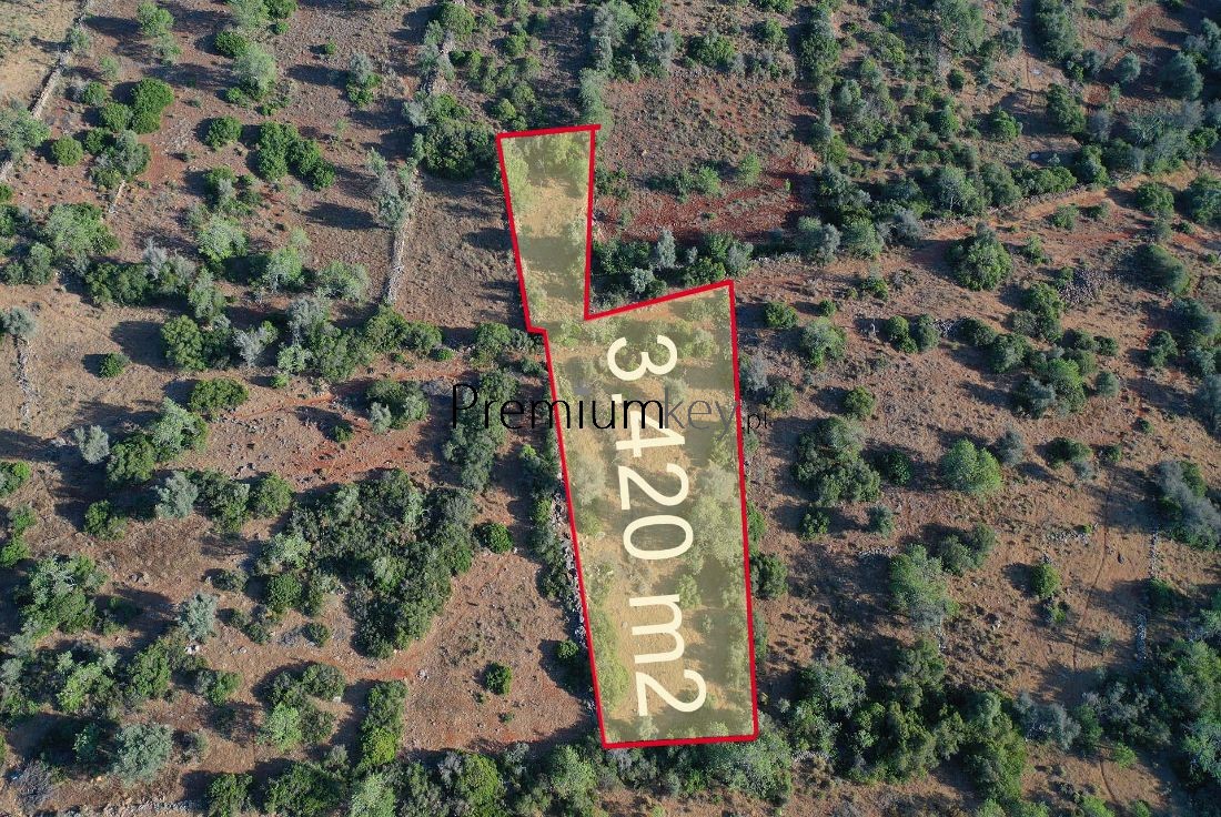3420m² Land in Silves, Portugal No. 81344