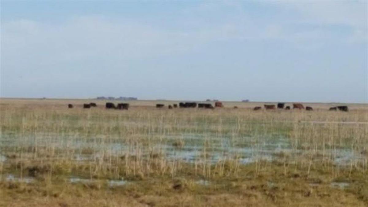 Terreno en Maipú, Argentina No. 36883