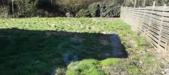 14 غرف نوم بناية في Emsland, Germany رقم 299823 35