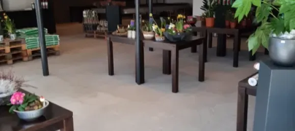 14 غرف نوم بناية في Emsland, Germany رقم 299823 37