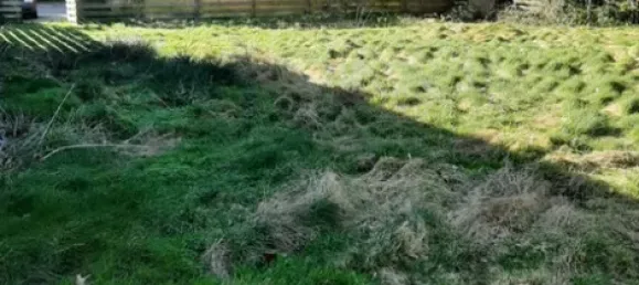 14 غرف نوم بناية في Emsland, Germany رقم 299823 34