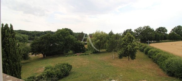 5 bedrooms House in Lunay, France No. 55249 14