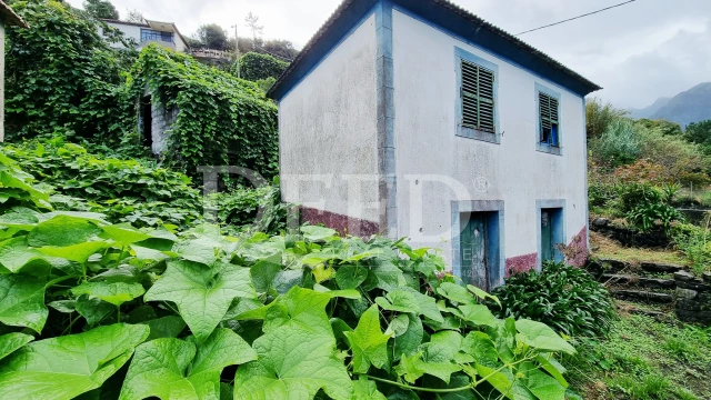 3 bedrooms House in Sao Vicente, Portugal No. 290770