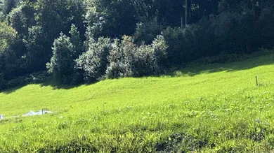 Terrain à Taxenbach, Austria 1000m² No. 230170