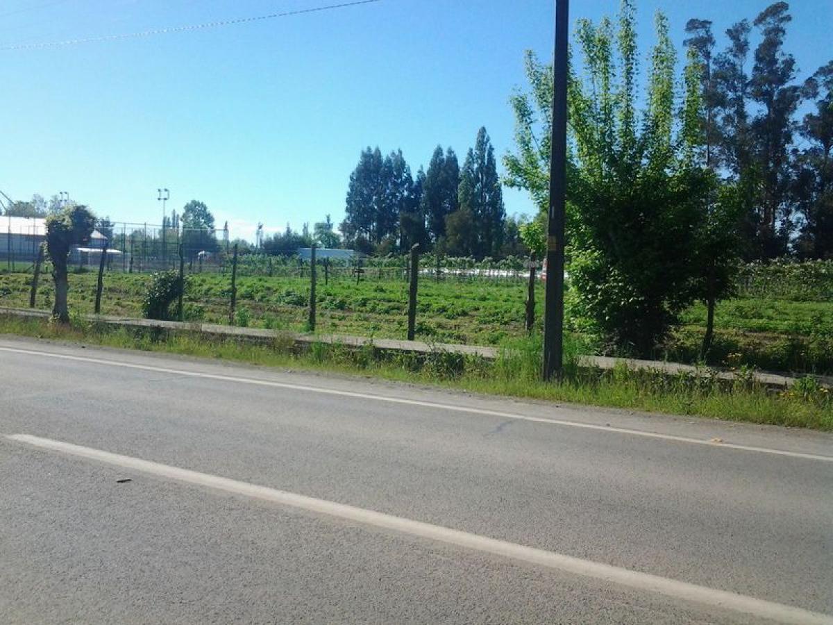  قطعة أرض في Biobio, Chile رقم 1196
