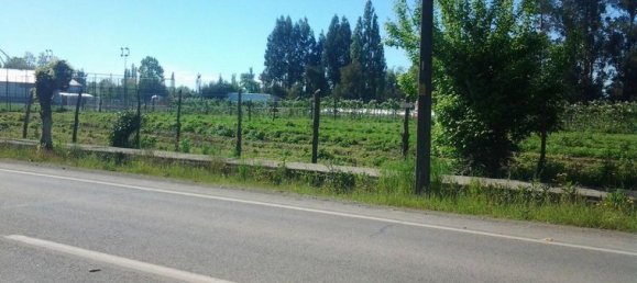  قطعة أرض في Biobio, Chile رقم 1196 2