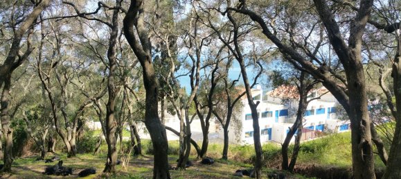7000m² hôtel à vendre à Corfu, Central Corfu and Diapontian Islands, Corfu, Ionian Islands, Peloponnese, Western Greece and the Ionian, Greece № 66281 2