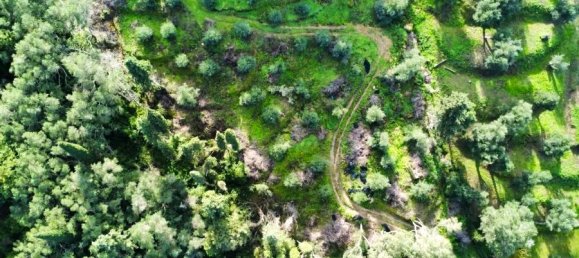 7000m² hôtel à vendre à Corfu, Central Corfu and Diapontian Islands, Corfu, Ionian Islands, Peloponnese, Western Greece and the Ionian, Greece № 66281 13