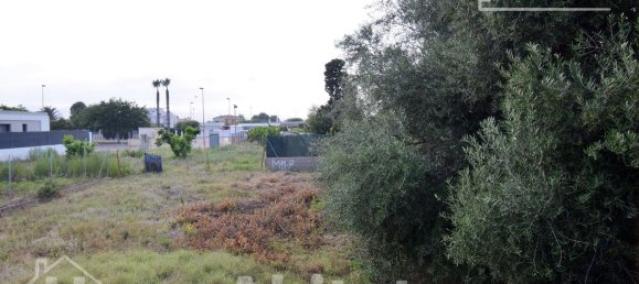  قطعة أرض في Castellon, Spain 333متر مربع رقم 34019 30