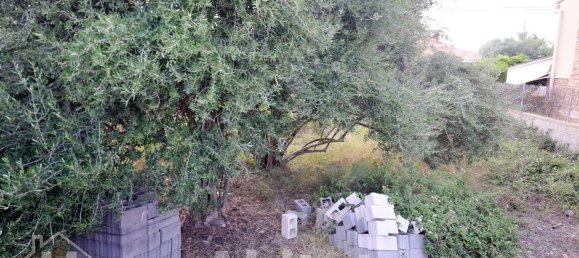  قطعة أرض في Castellon, Spain 333متر مربع رقم 34019 3