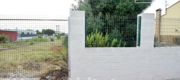  قطعة أرض في Castellon, Spain 333متر مربع رقم 34019 44