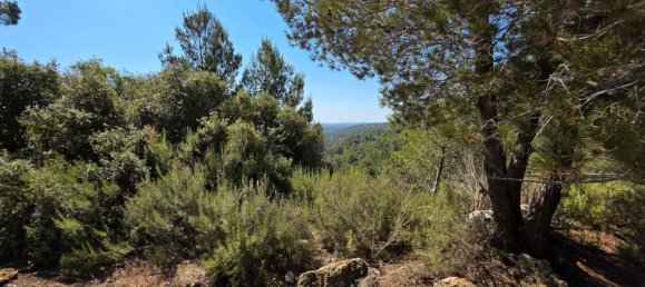 Terreno en Barcelona, Spain 1350 m² No. 163836 9