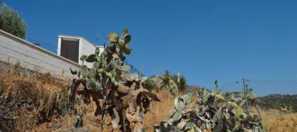 410m² Land in Cordoba, Spain No. 187261 6