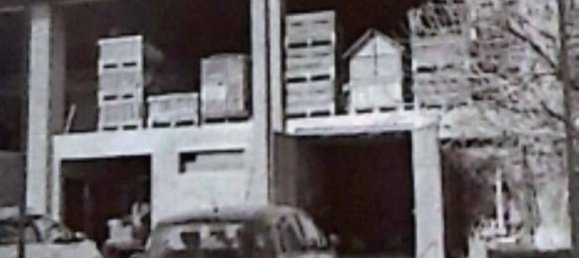 4 rooms Apartment in Penna Sant'Andrea, Italy No. 269326 8