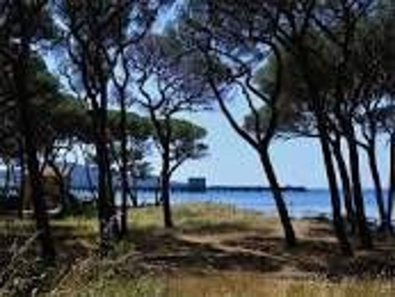 2-Zimmer Wohnung in Follonica, Italy, Nr. 220543