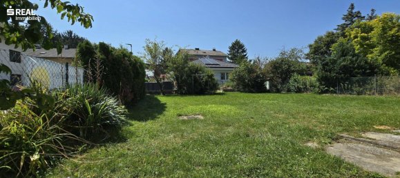 3-salle Bungalow à Grossrussbach, Austria No. 243174 4