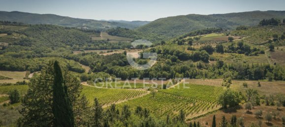 9 bedrooms House in Castellina in Chianti, Italy No. 316517 32