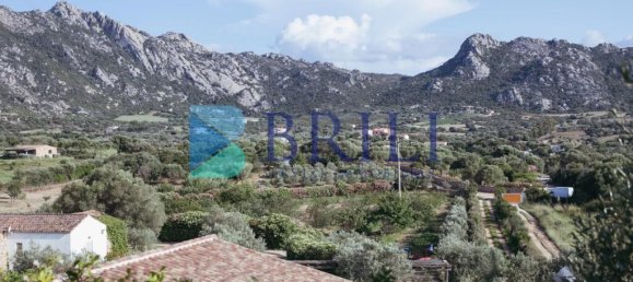 3 bedrooms Villa in Golfo Aranci, Italy No. 326959 29