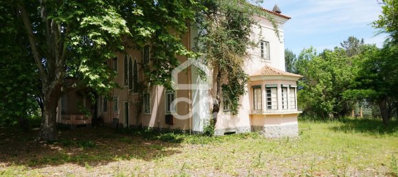 20 bedrooms Villa in Tramagal, Portugal No. 29946 2