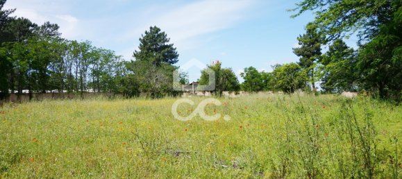 20 bedrooms Villa in Tramagal, Portugal No. 29946 28