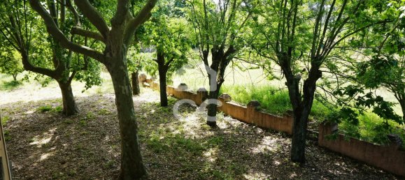 20 bedrooms Villa in Tramagal, Portugal No. 29946 27