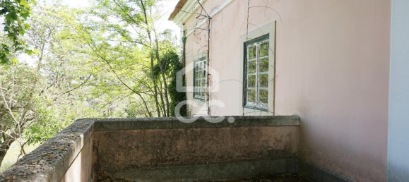 20 bedrooms Villa in Tramagal, Portugal No. 29946 20