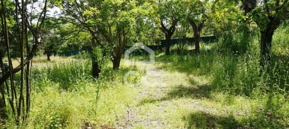 20 bedrooms Villa in Tramagal, Portugal No. 29946 30