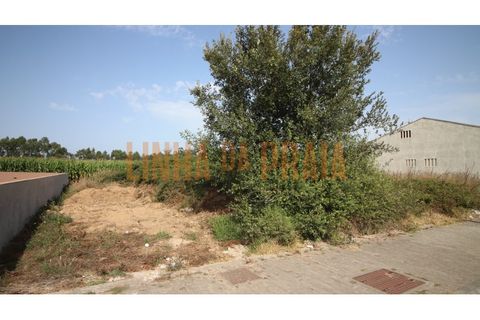 Terrain à Mindelo, Portugal No. 341720