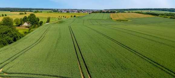  Land in Eichstatt, Germany No. 154059 8