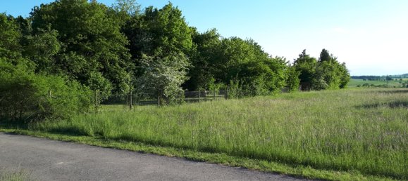 991m² Land in Tubingen, Germany No. 371341 2