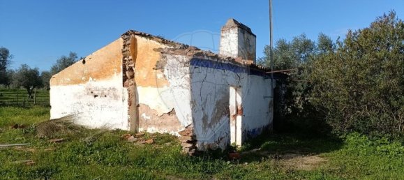 1 غرف نوم منزل في Avis, Portugal رقم 70595 35