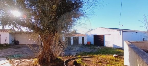 1 غرف نوم منزل في Avis, Portugal رقم 70595 2