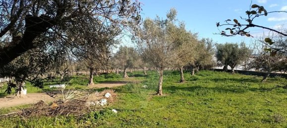 1 غرف نوم منزل في Avis, Portugal رقم 70595 13