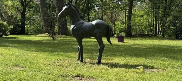 4 Schlafzimmer Schlösser in Yvoy-le-Marron, France, Nr. 221009 3