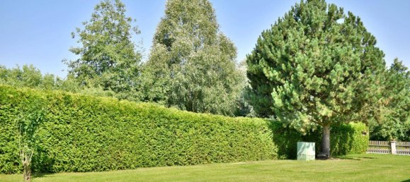 4 غرف نوم بنغالو في Pichl bei Wels, Austria رقم 243655 12